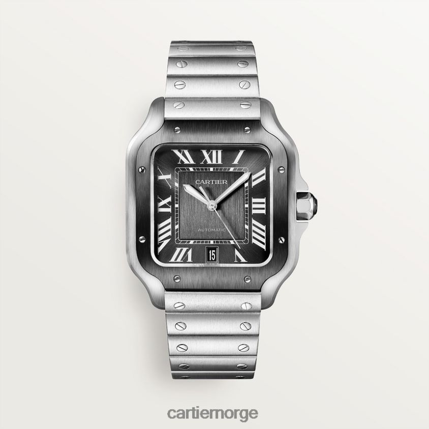 tilbehør Cartier santos klokke stilig F4466N866