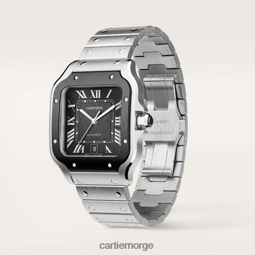 tilbehør Cartier santos klokke stilig F4466N866