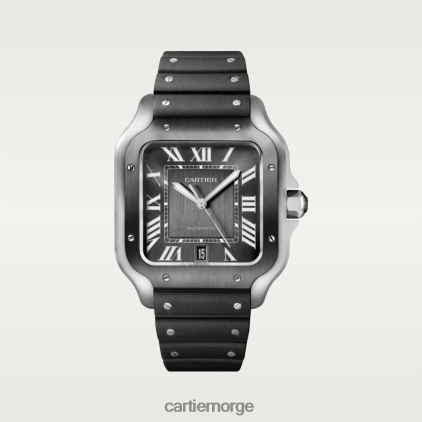 tilbehør Cartier santos klokke stilig F4466N866