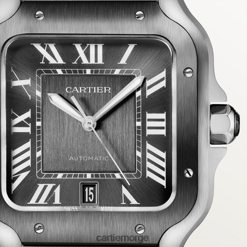 tilbehør Cartier santos klokke stilig F4466N866
