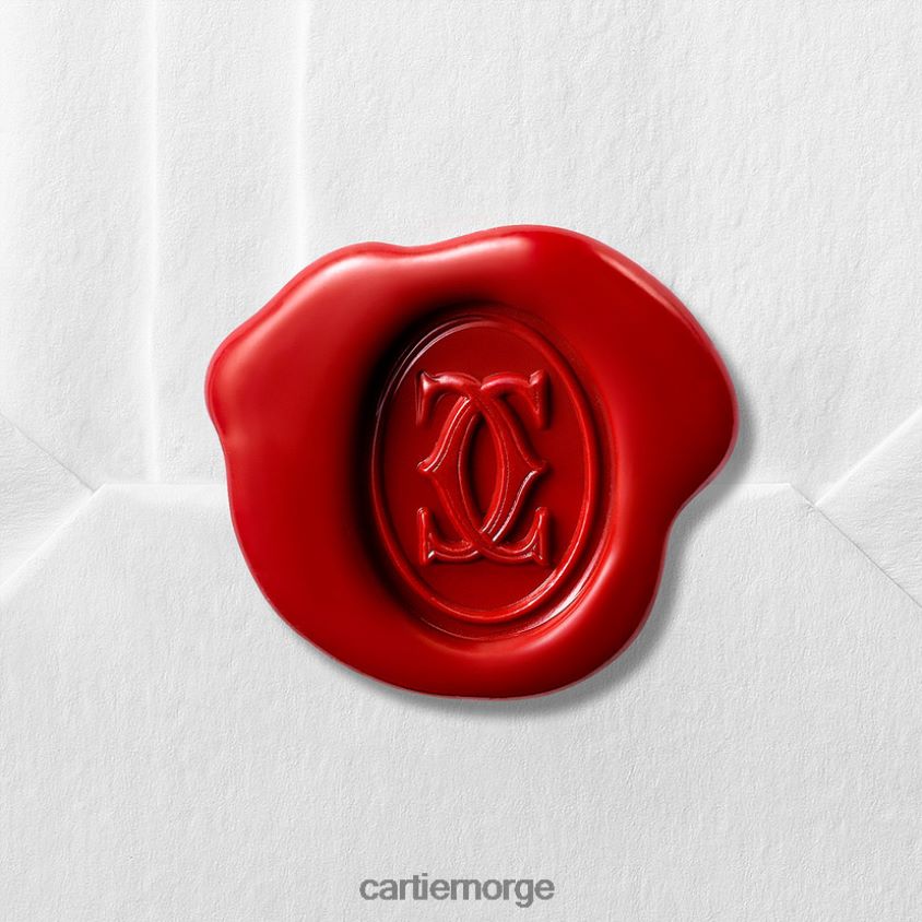 tilbehør Cartier santos klokke stilig F4466N866