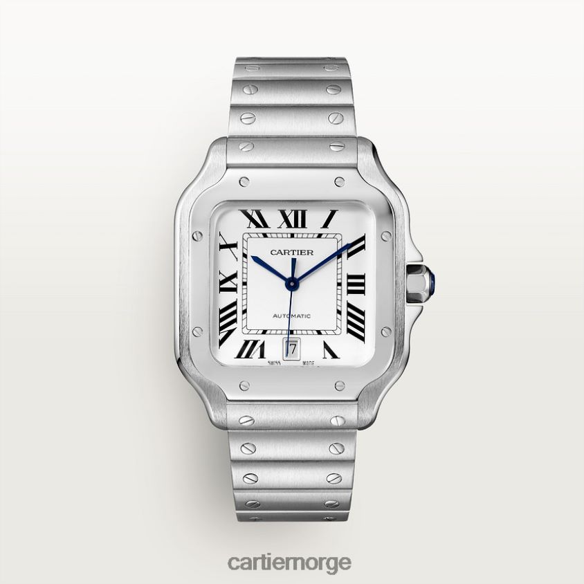 tilbehør Cartier santos klokke stilig F4466N867