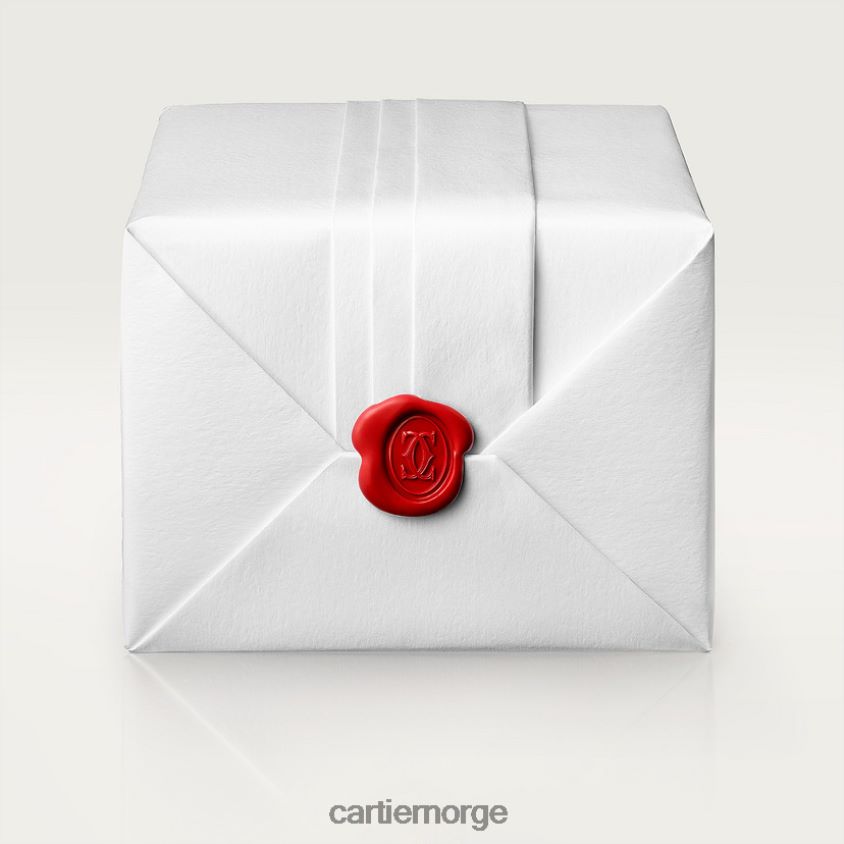 tilbehør Cartier santos klokke stilig F4466N867