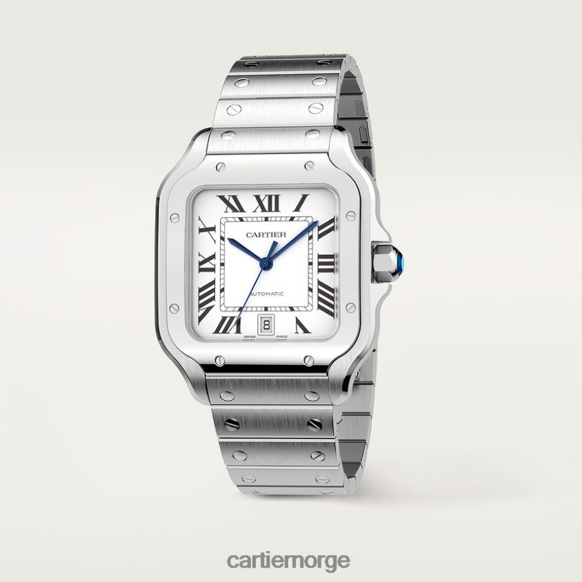 tilbehør Cartier santos klokke stilig F4466N867