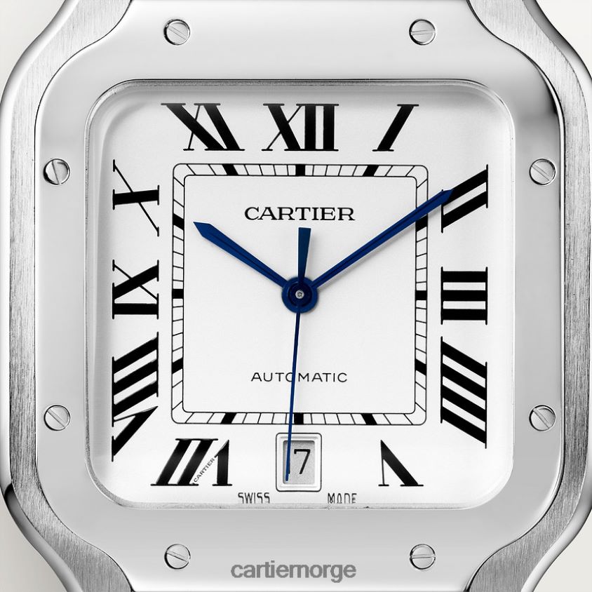tilbehør Cartier santos klokke stilig F4466N867