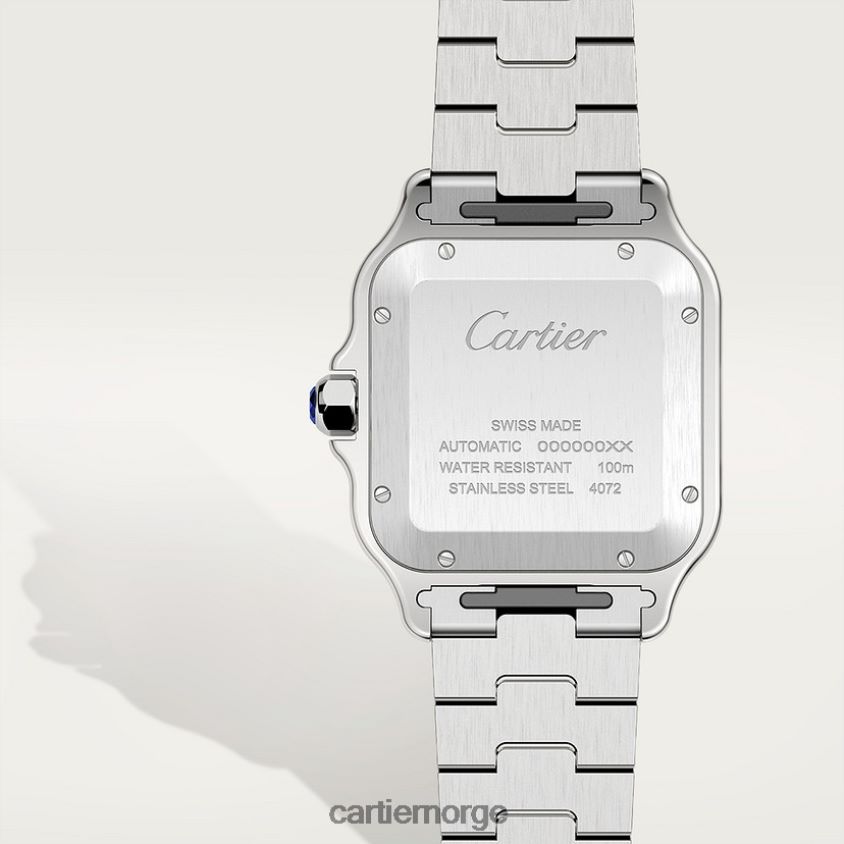 tilbehør Cartier santos klokke stilig F4466N867