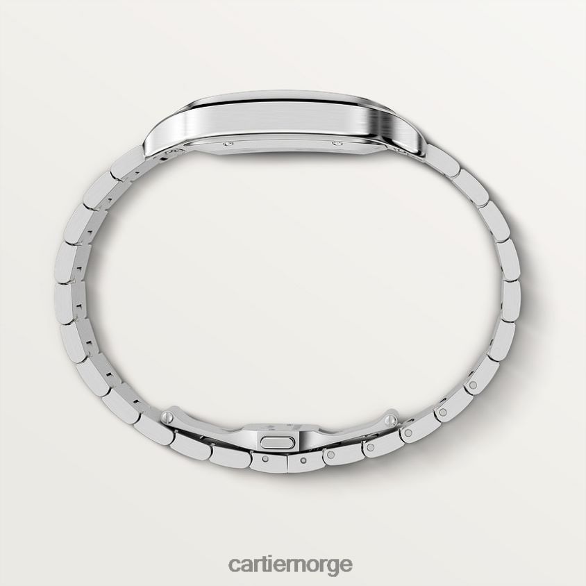 tilbehør Cartier santos klokke stilig F4466N867