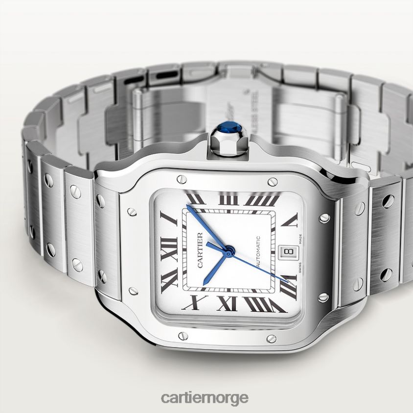 tilbehør Cartier santos klokke stilig F4466N867