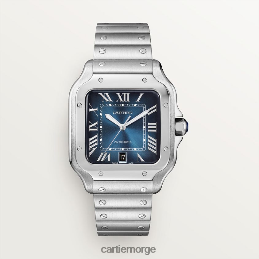 tilbehør Cartier santos klokke stilig F4466N868