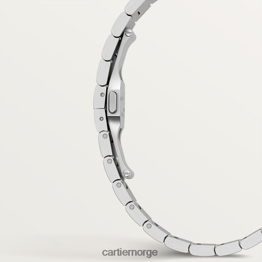 tilbehør Cartier santos klokke stilig F4466N868
