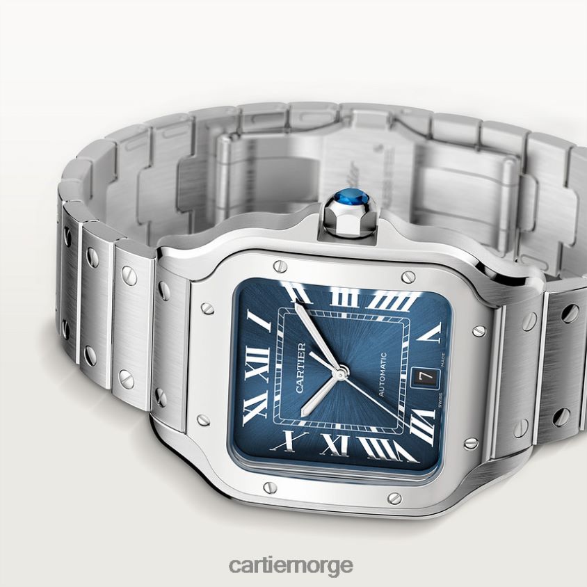 tilbehør Cartier santos klokke stilig F4466N868