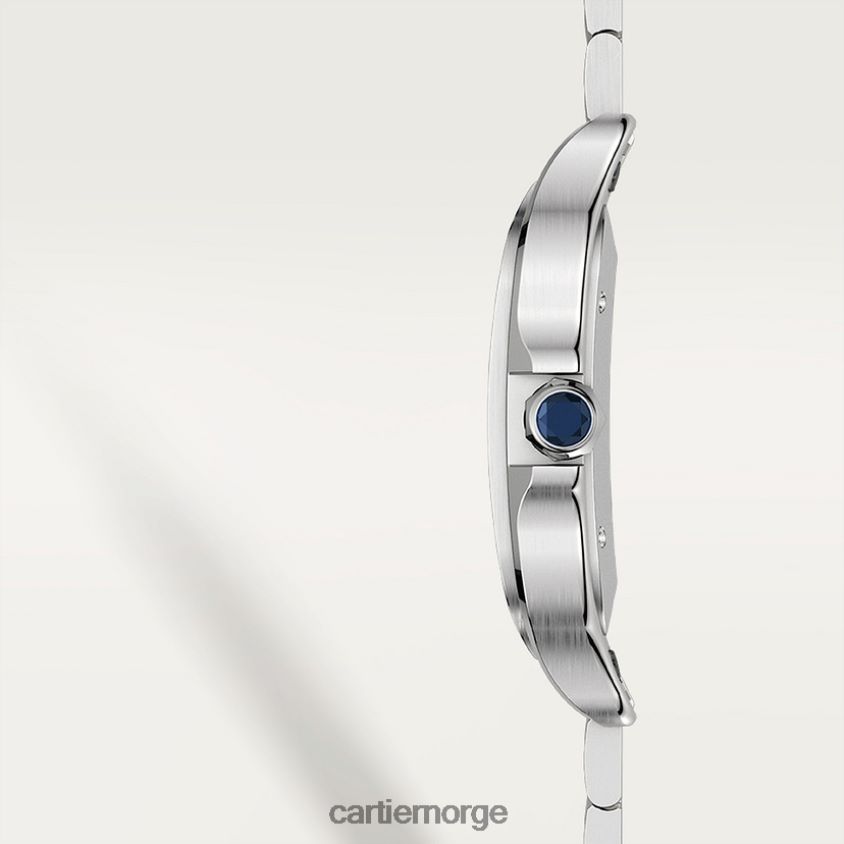 tilbehør Cartier santos klokke stilig F4466N868