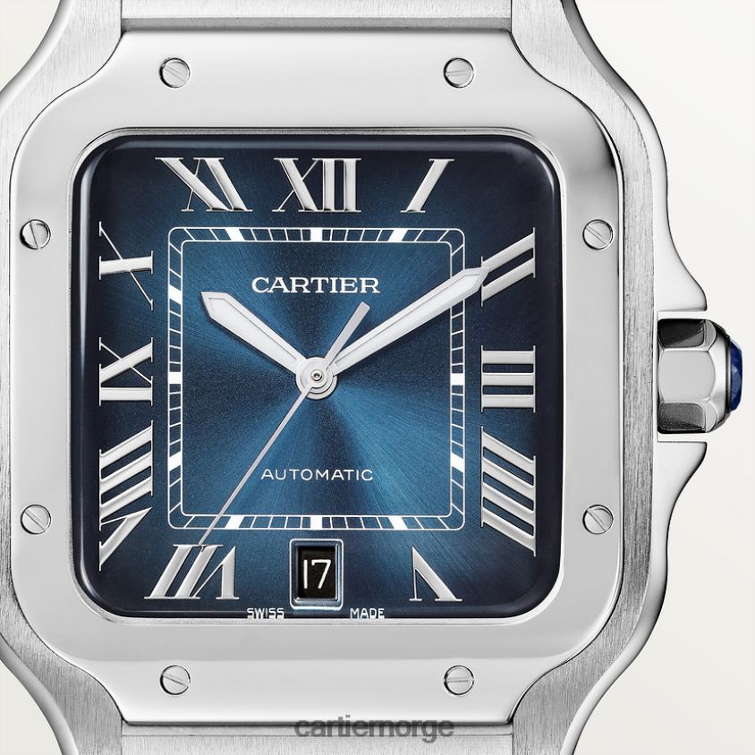 tilbehør Cartier santos klokke stilig F4466N868