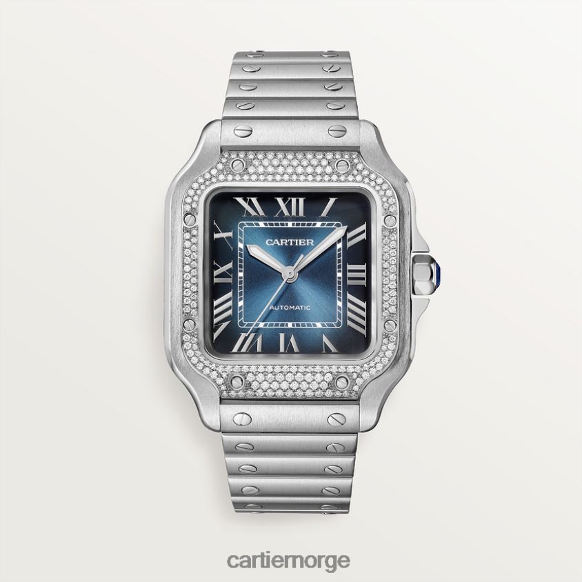 tilbehør Cartier santos klokke stilig F4466N870