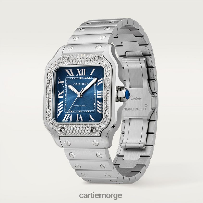 tilbehør Cartier santos klokke stilig F4466N870