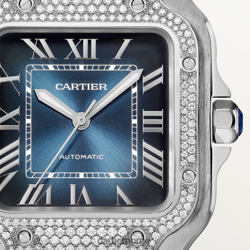 tilbehør Cartier santos klokke stilig F4466N870