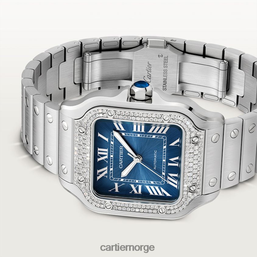 tilbehør Cartier santos klokke stilig F4466N870