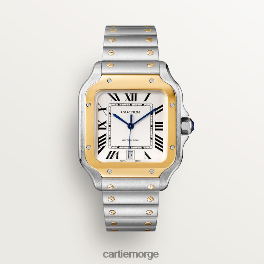tilbehør Cartier santos klokke stilig F4466N871