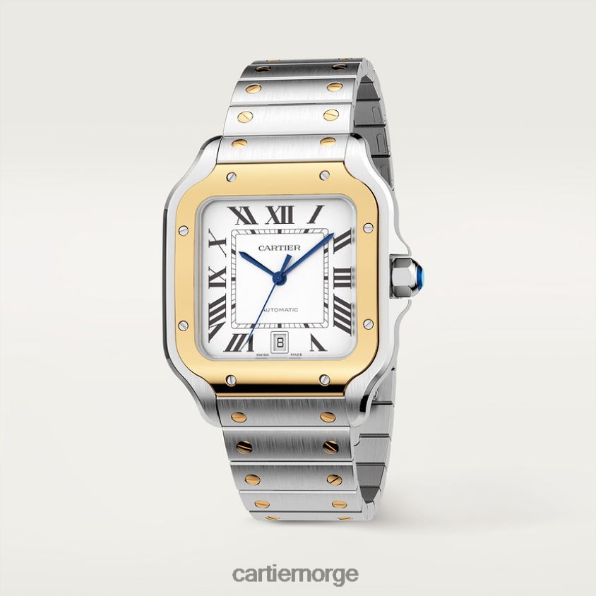 tilbehør Cartier santos klokke stilig F4466N871