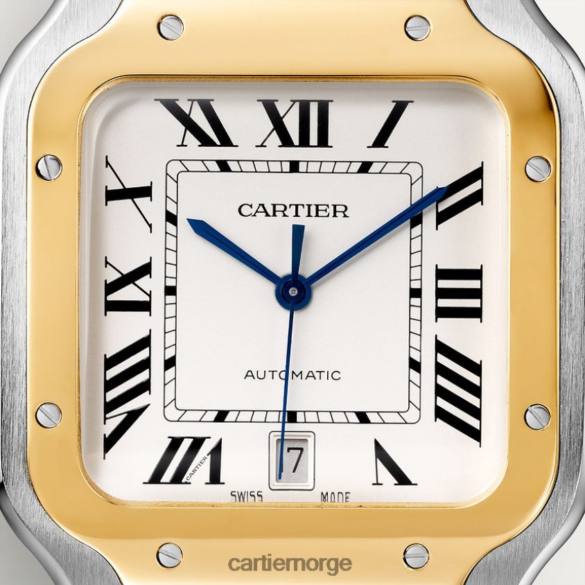 tilbehør Cartier santos klokke stilig F4466N871