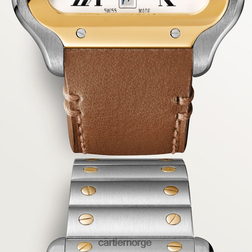 tilbehør Cartier santos klokke stilig F4466N871
