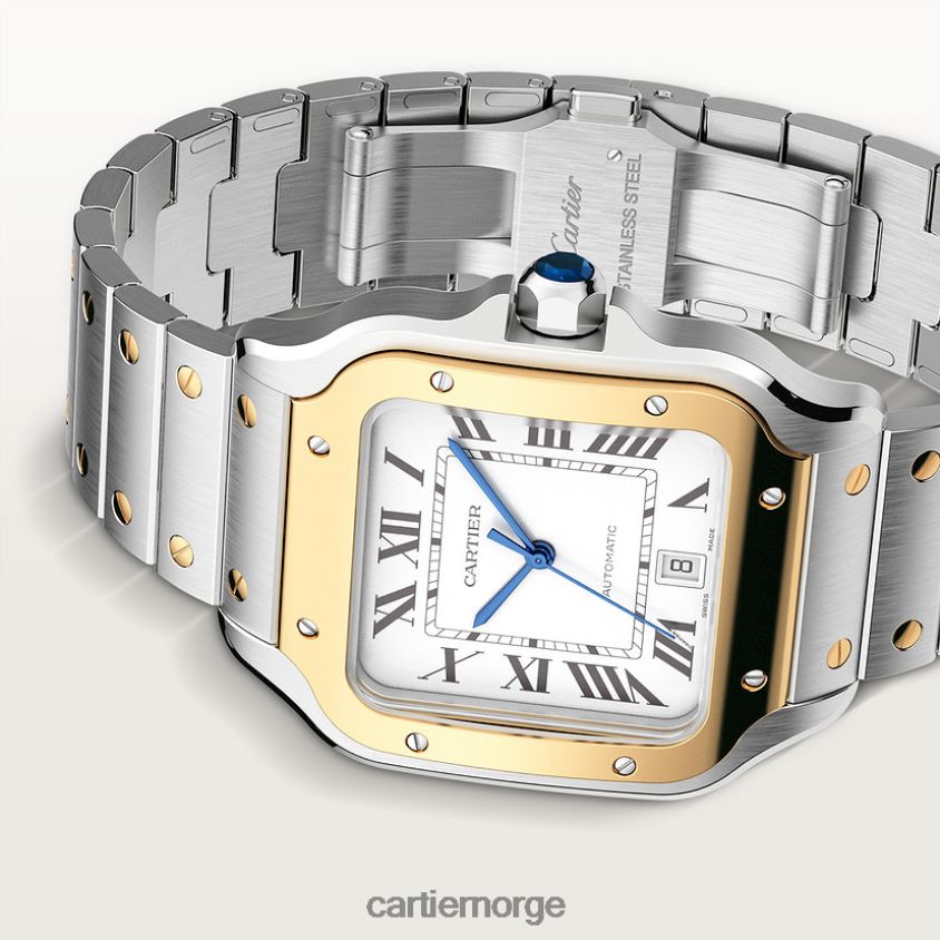 tilbehør Cartier santos klokke stilig F4466N871