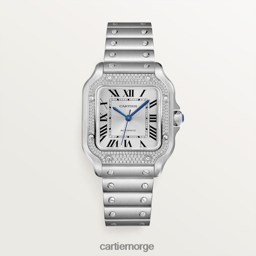 tilbehør Cartier santos klokke stilig F4466N876