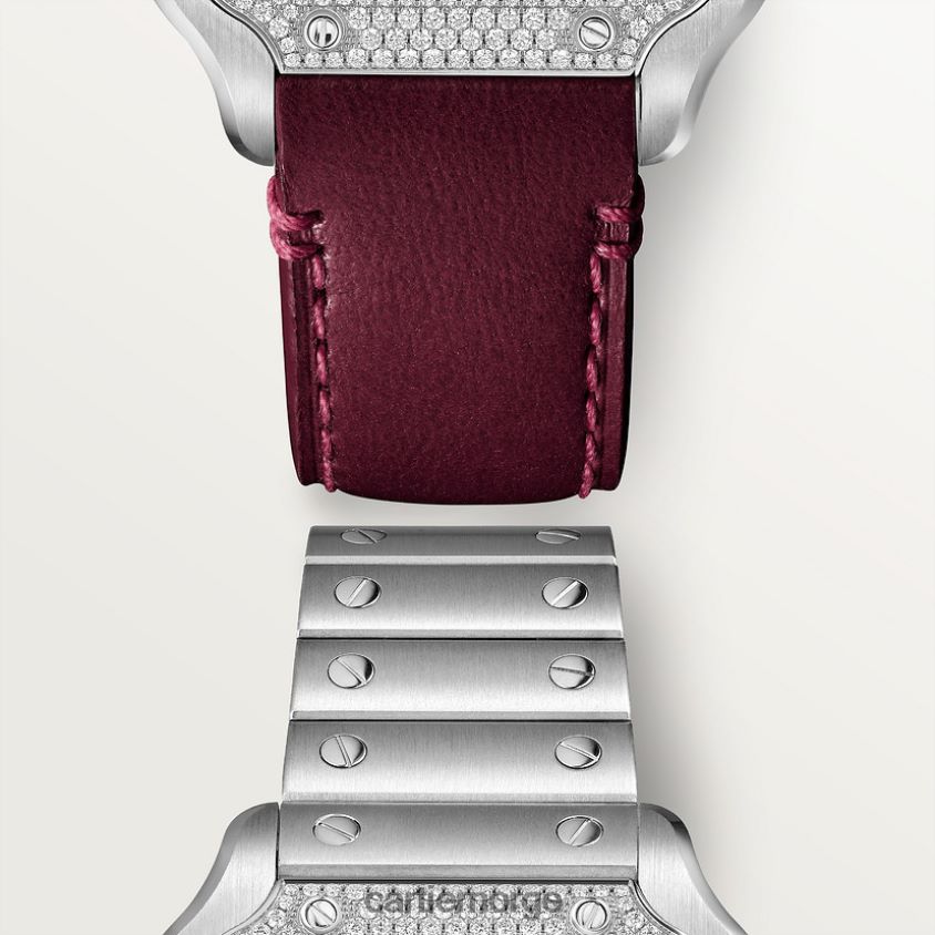 tilbehør Cartier santos klokke stilig F4466N876