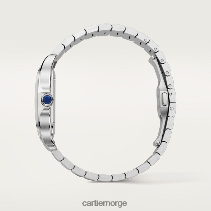 tilbehør Cartier santos klokke stilig F4466N876