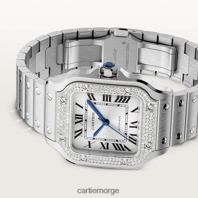 tilbehør Cartier santos klokke stilig F4466N876
