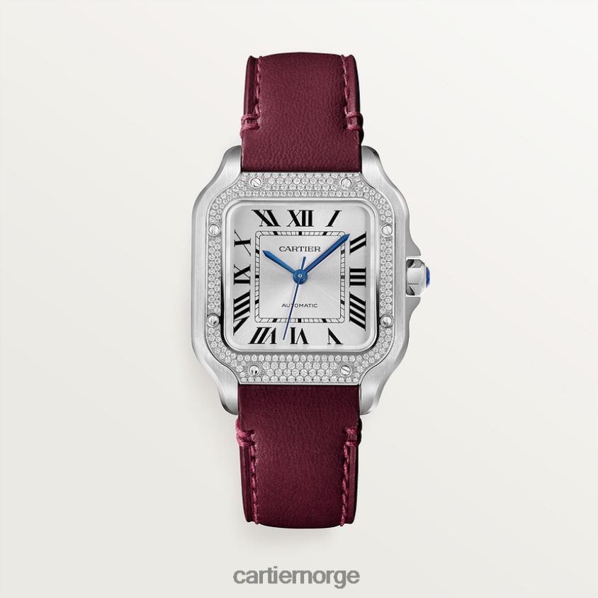 tilbehør Cartier santos klokke stilig F4466N876