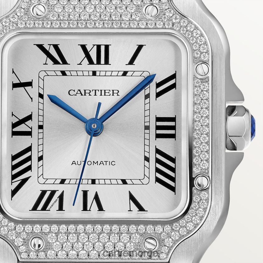 tilbehør Cartier santos klokke stilig F4466N876