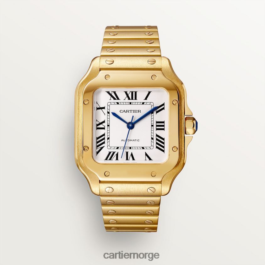 tilbehør Cartier santos klokke stilig F4466N877