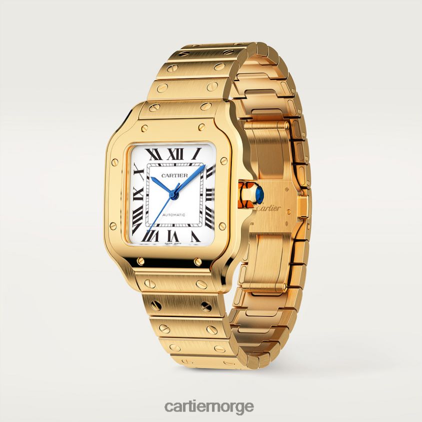 tilbehør Cartier santos klokke stilig F4466N877