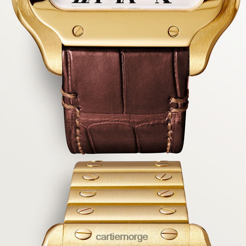 tilbehør Cartier santos klokke stilig F4466N877