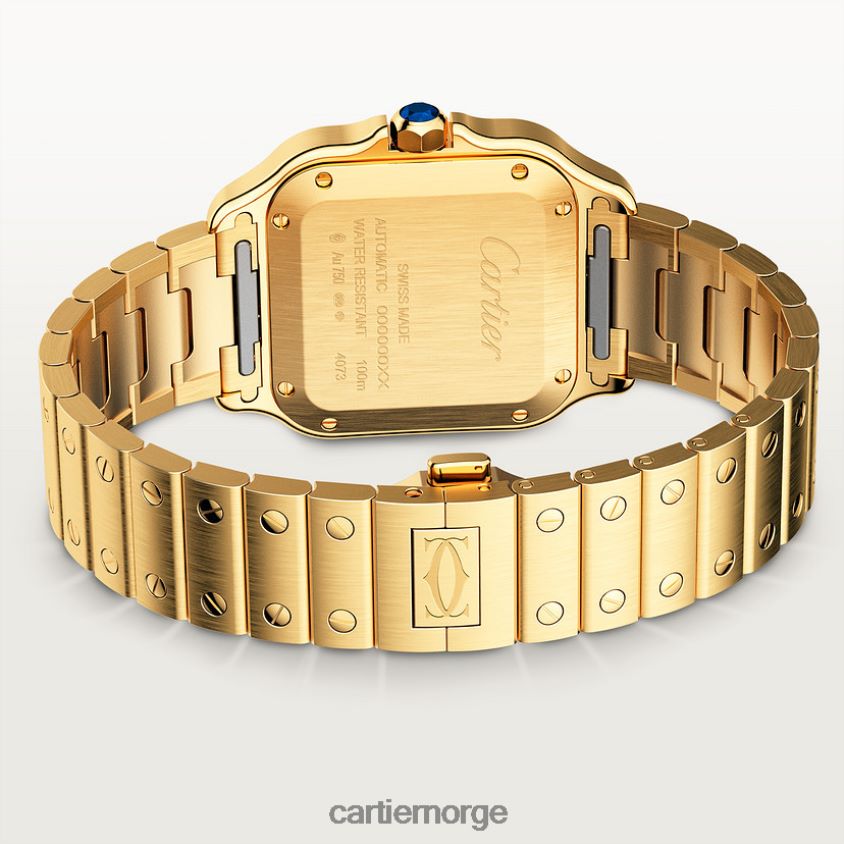 tilbehør Cartier santos klokke stilig F4466N877