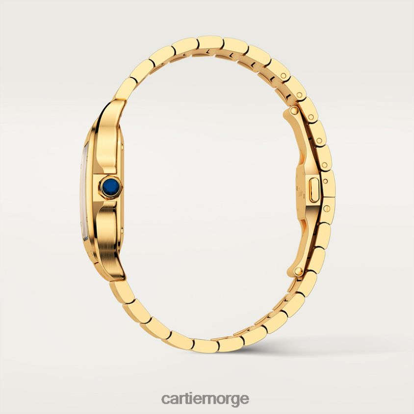 tilbehør Cartier santos klokke stilig F4466N877