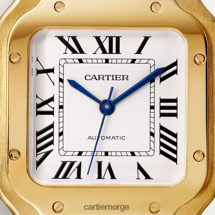 tilbehør Cartier santos klokke stilig F4466N877