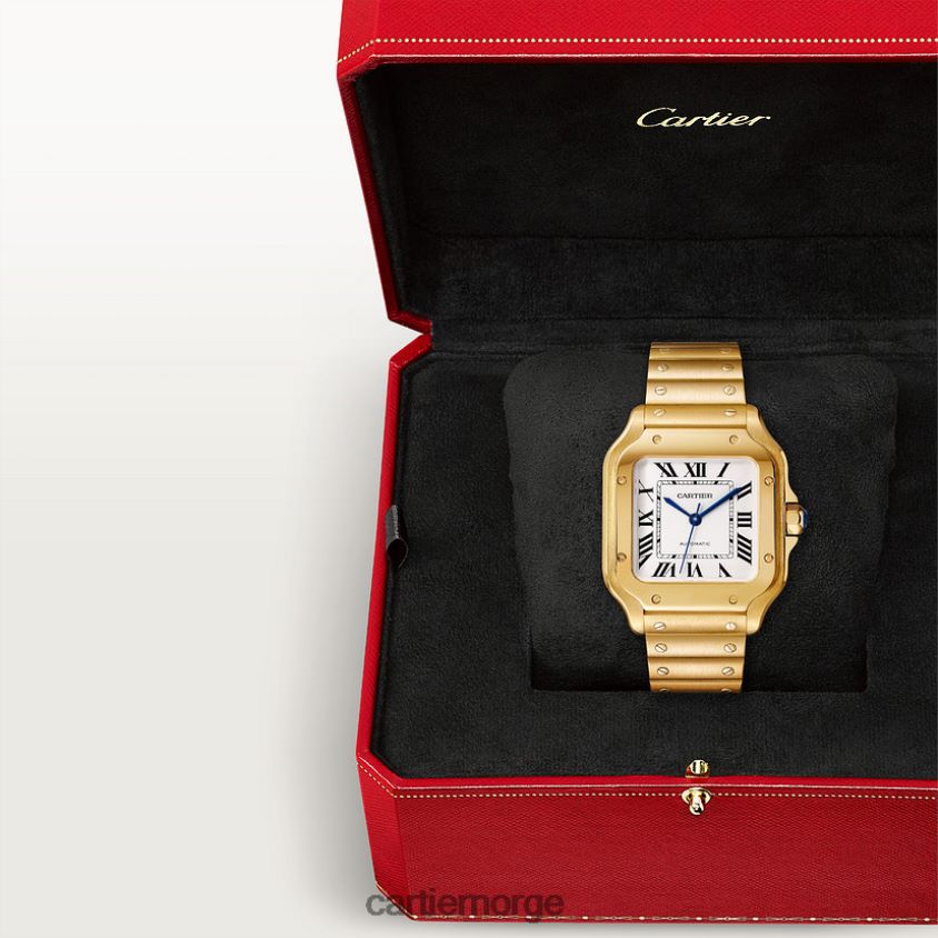 tilbehør Cartier santos klokke stilig F4466N877