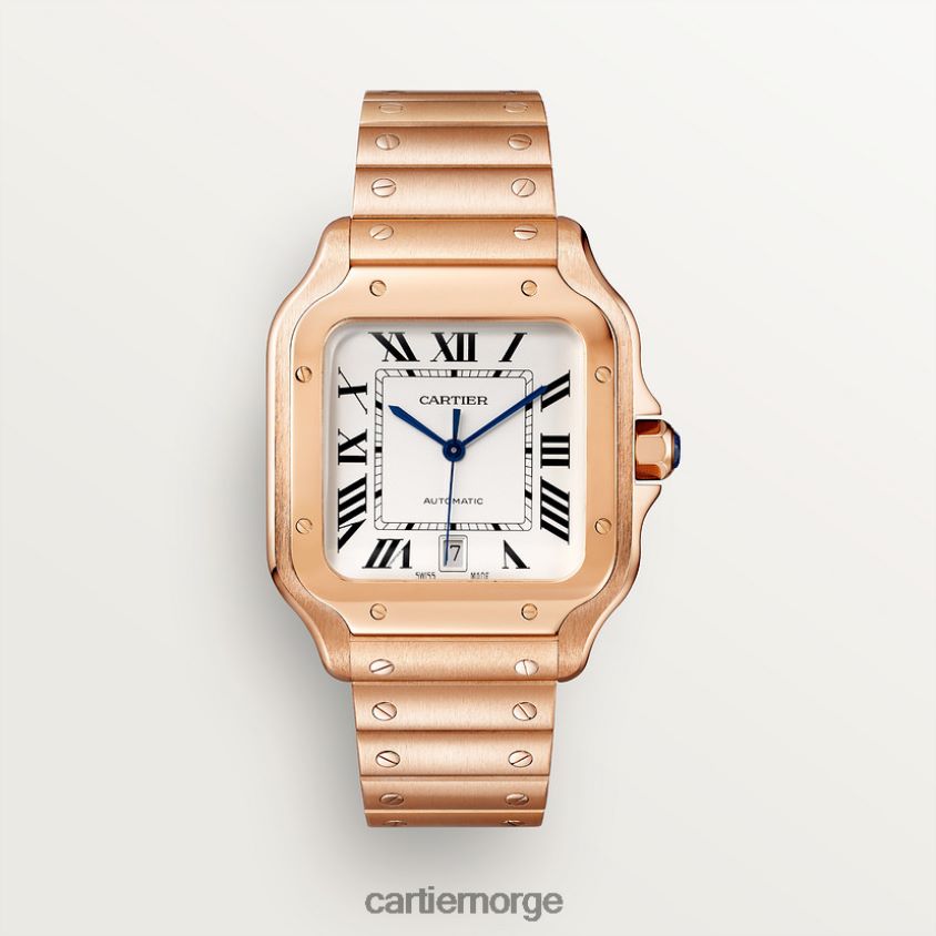 tilbehør Cartier santos klokke stilig F4466N878