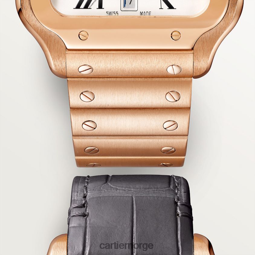 tilbehør Cartier santos klokke stilig F4466N878