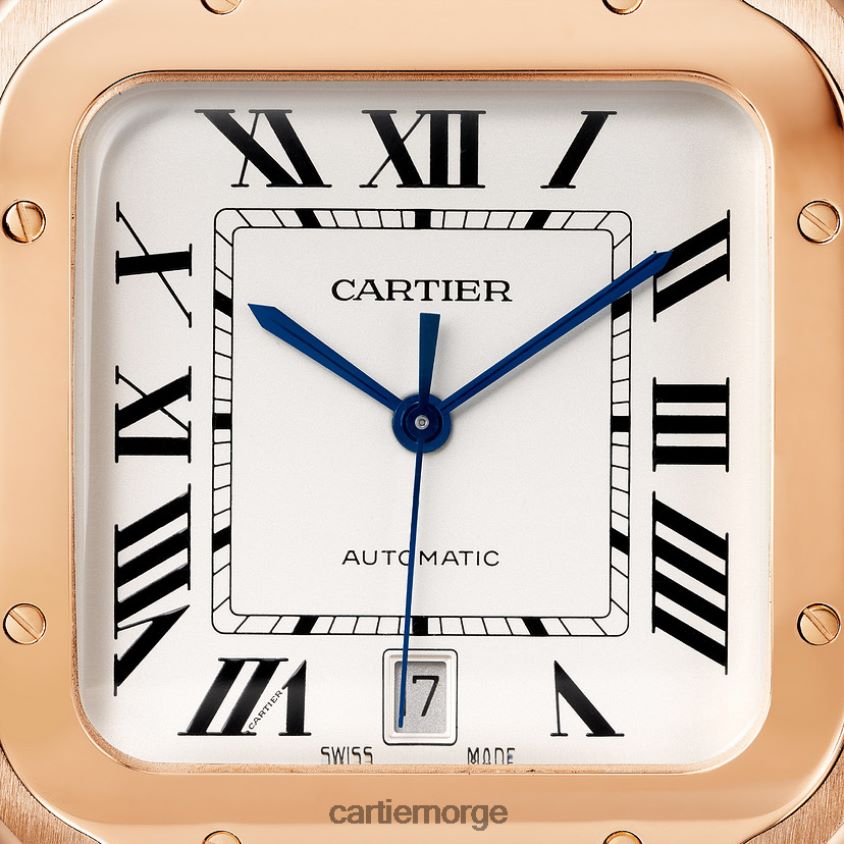 tilbehør Cartier santos klokke stilig F4466N878