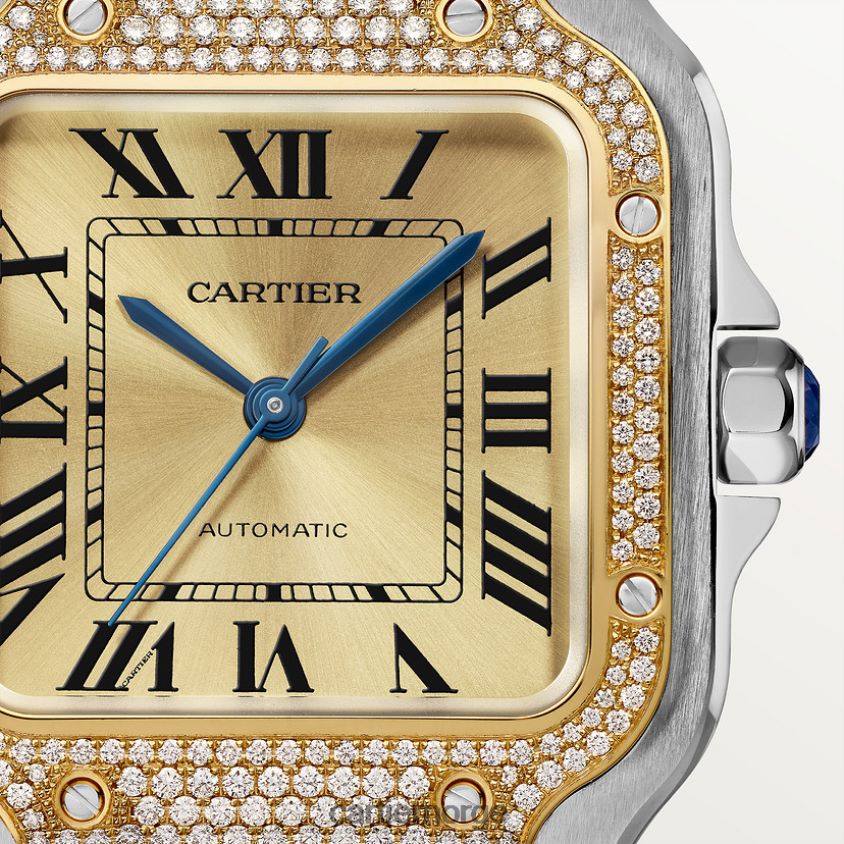 tilbehør Cartier santos klokke stilig F4466N879