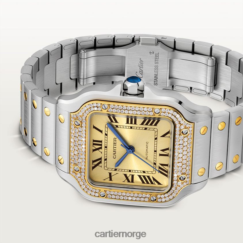 tilbehør Cartier santos klokke stilig F4466N879