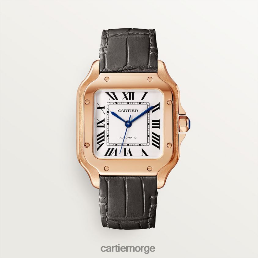 tilbehør Cartier santos klokke stilig F4466N880