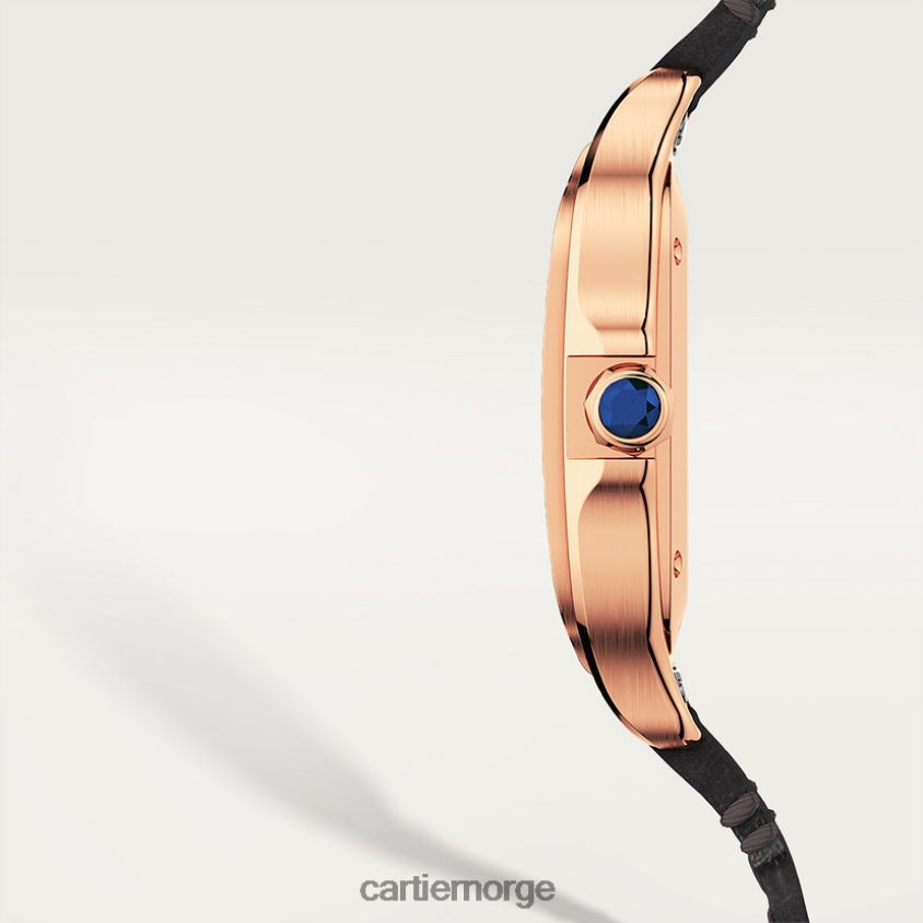 tilbehør Cartier santos klokke stilig F4466N880