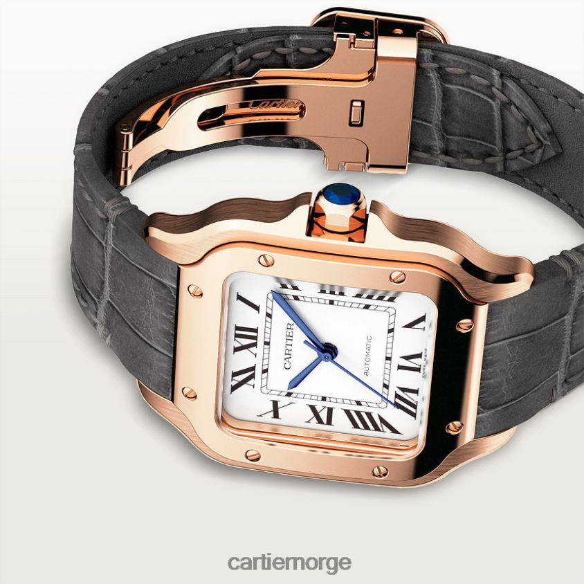 tilbehør Cartier santos klokke stilig F4466N880