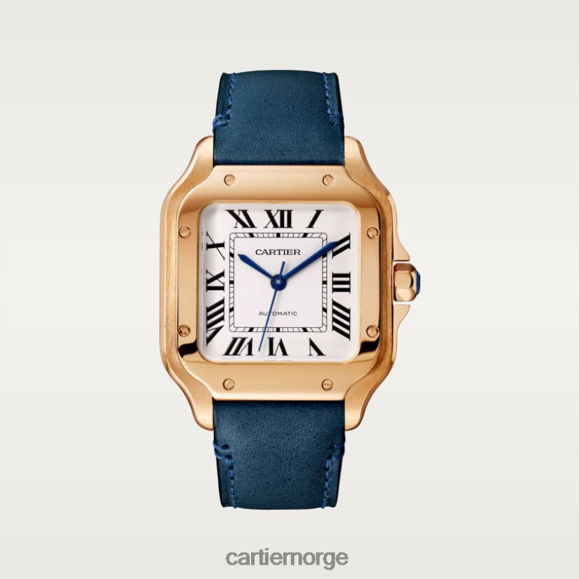 tilbehør Cartier santos klokke stilig F4466N880