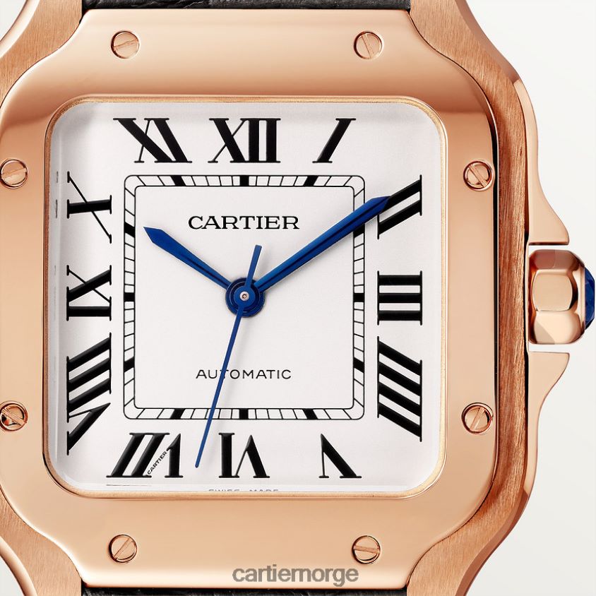 tilbehør Cartier santos klokke stilig F4466N880