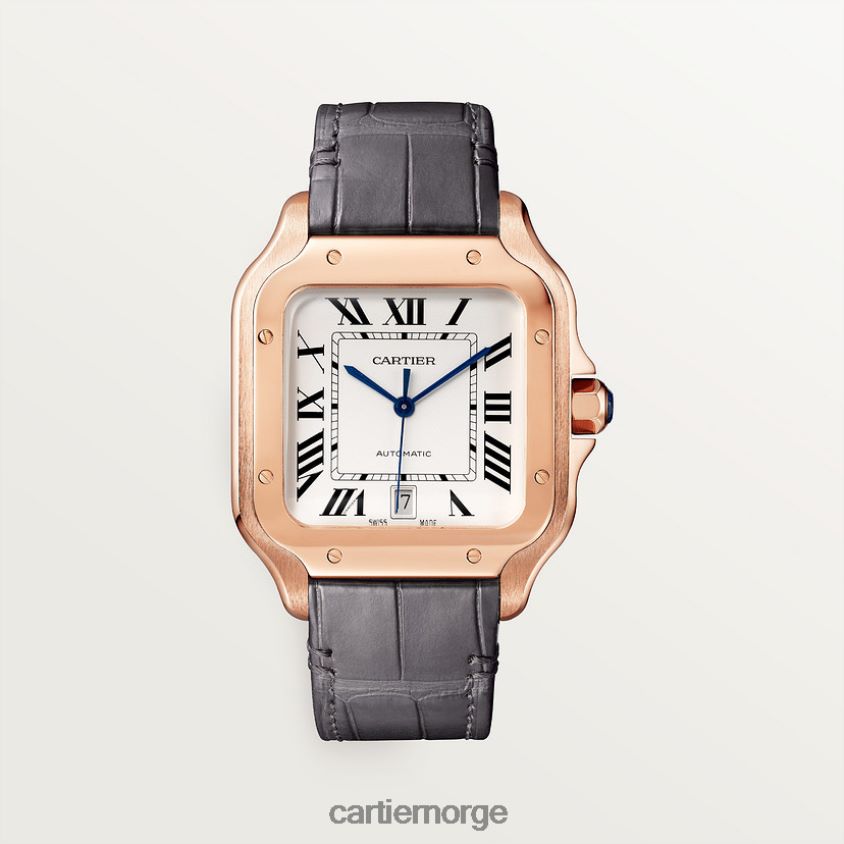 tilbehør Cartier santos klokke stilig F4466N884